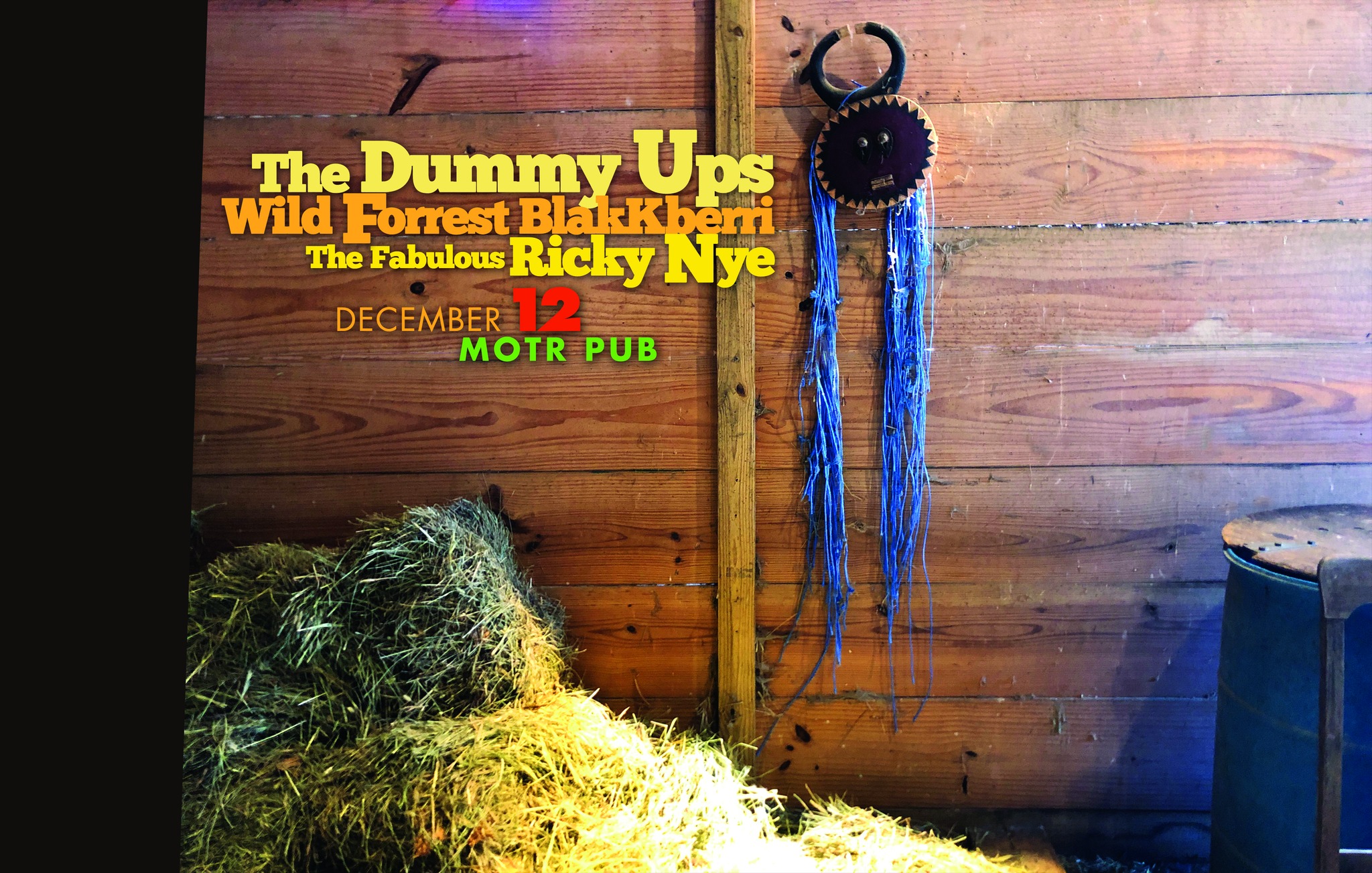 THE DUMMY UPS, WILD FORREST BLACKBERRI, RICKY NYE