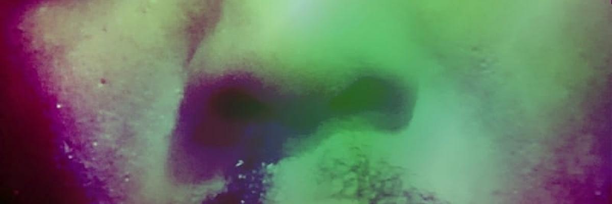 eugenius 7/14 motr
