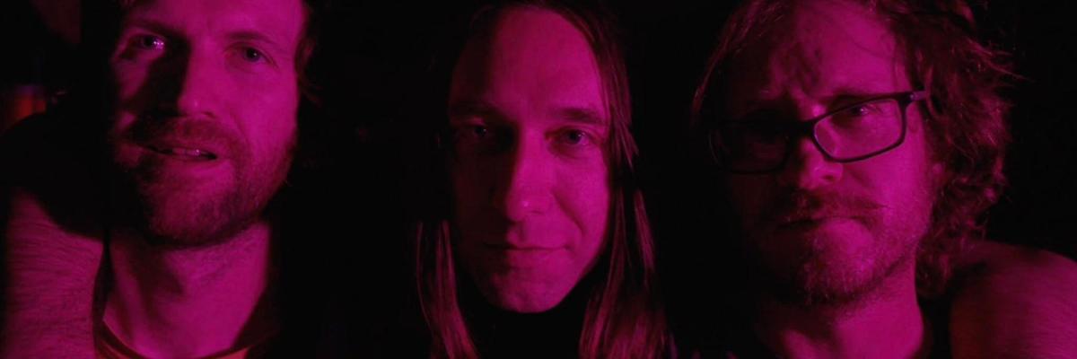 TURNSOLE, THE HARLEQUINS, LEGGY