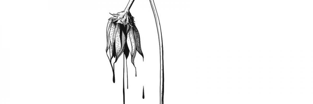 piss flowers 7/22 motr