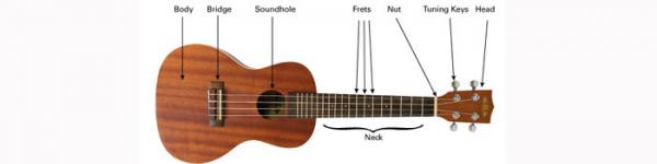 SUN 8/13 - NUKULELE EXPLOSION: A UKULELE EXPOSITION & REVIEW