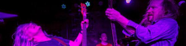 VIBROLAS, GREMLIN, ALL-SEEING EYES, STALLONE N ROSES